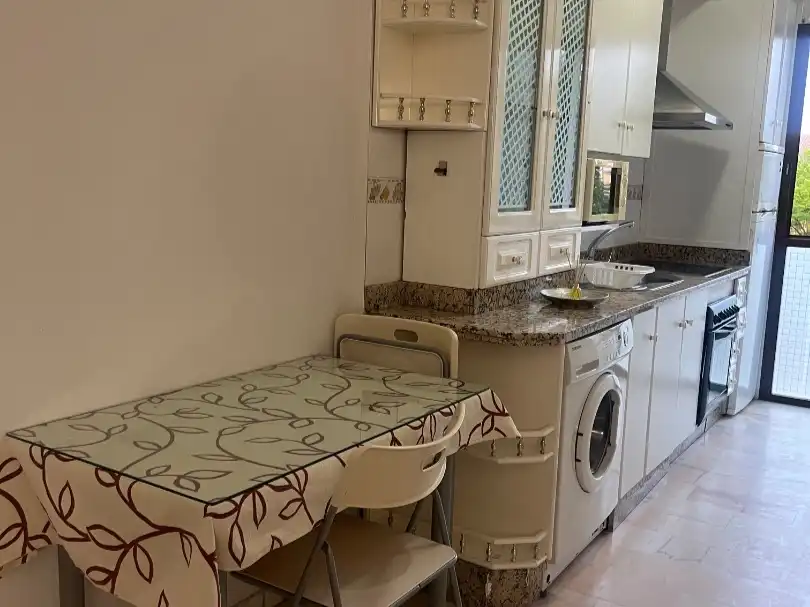 Apartment mit Garten zur Miete in Paseo Blas Infante 28, imagen 7