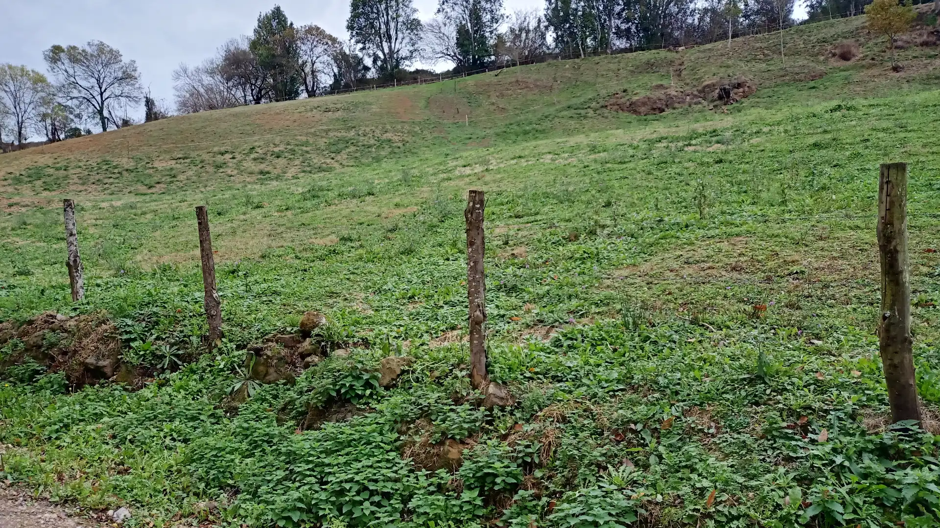 Terreno en venta en Gijón 