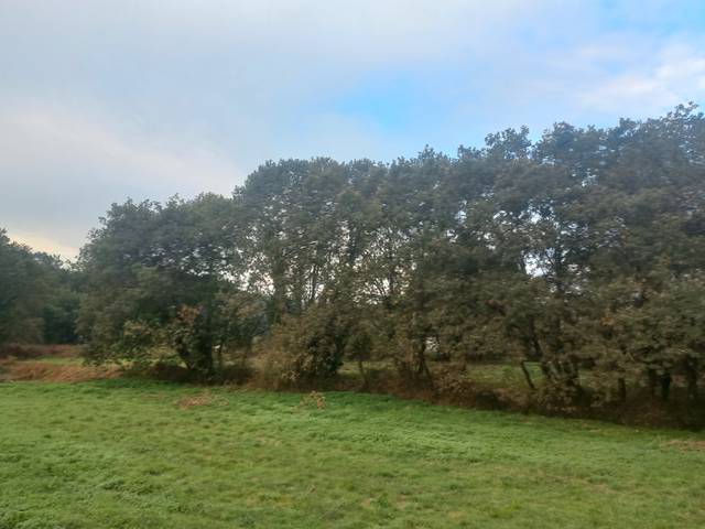 Terreno residencial en Venta en DP-1707 en Nós