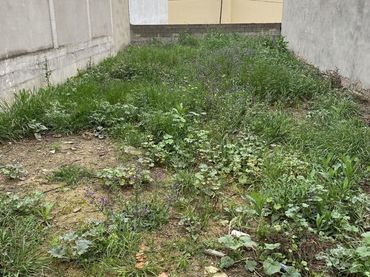 Terreni e lotti in vendita a Coria del Río