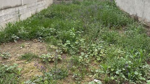 Solar en cantalobos