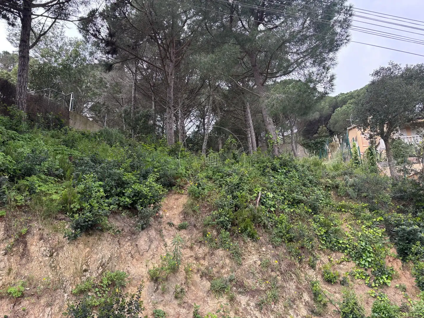 Grundstücke und Bauplätze zum Verkauf in Serra Brava, imagen 6