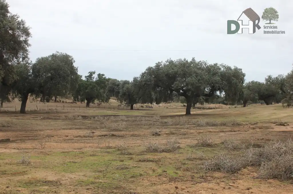 Terreni e lotti in vendita a San Roque - Ronda Norte, imagen 9