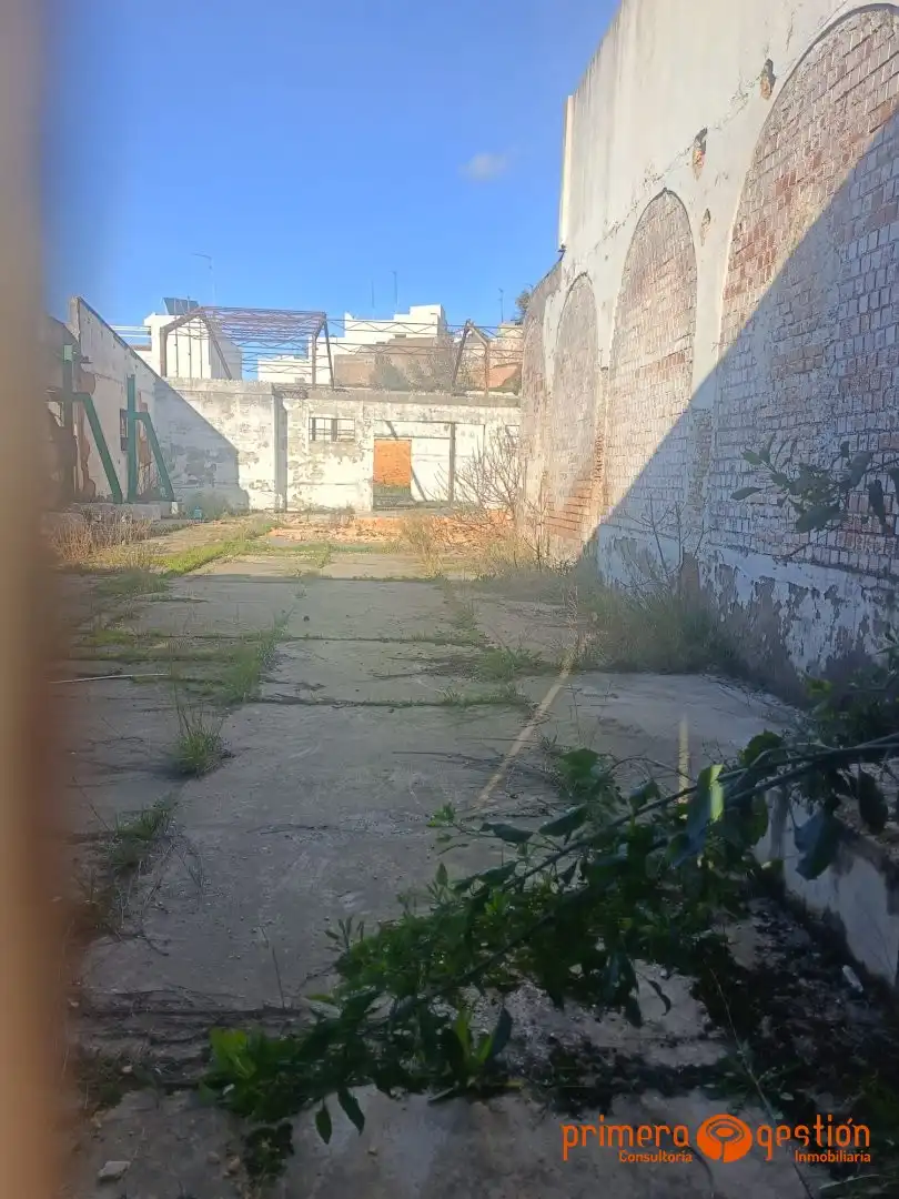 Terreni e lotti in vendita a Carmona