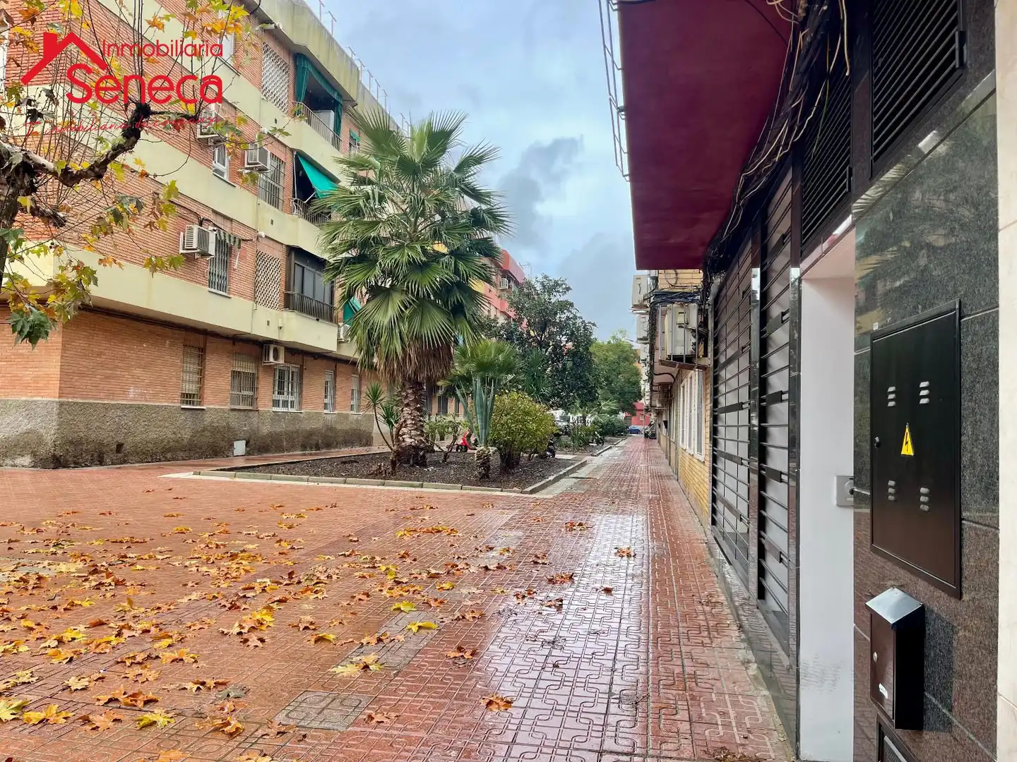 Vista exterior de Pis en venda en Córdoba amb Aire condicionat i Terrassa