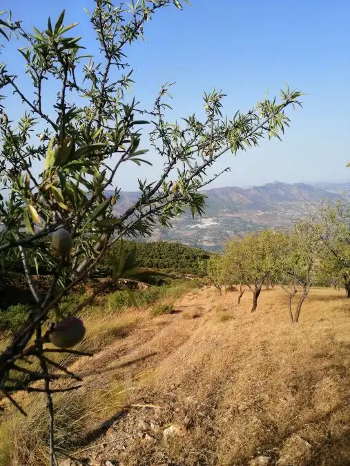 Terreni e lotti in vendita a Lecrín, imagen 27