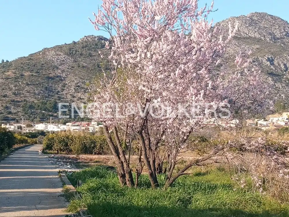 Casa o xalet en venda en Pedreguer amb Aire condicionat, Calefacció i Jardí privat