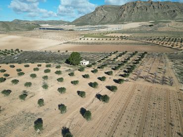 Terreny residencial en venda a Jumilla