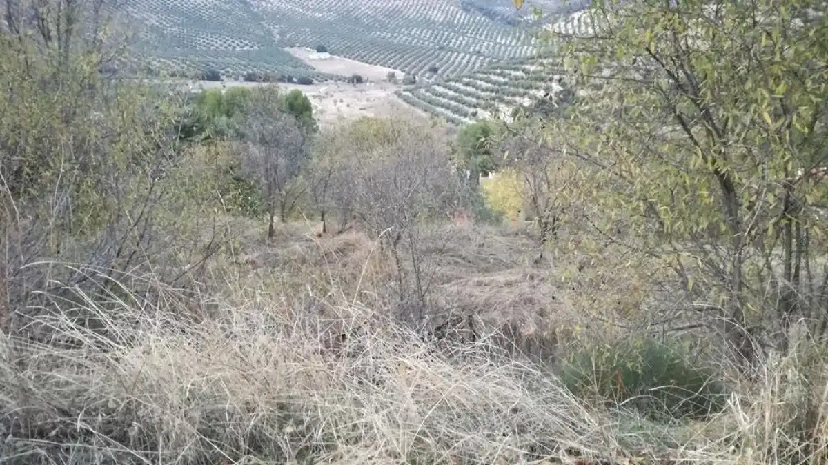 Grundstücke und Bauplätze zum Verkauf in Urbanizacion MONTESOL, imagen 6