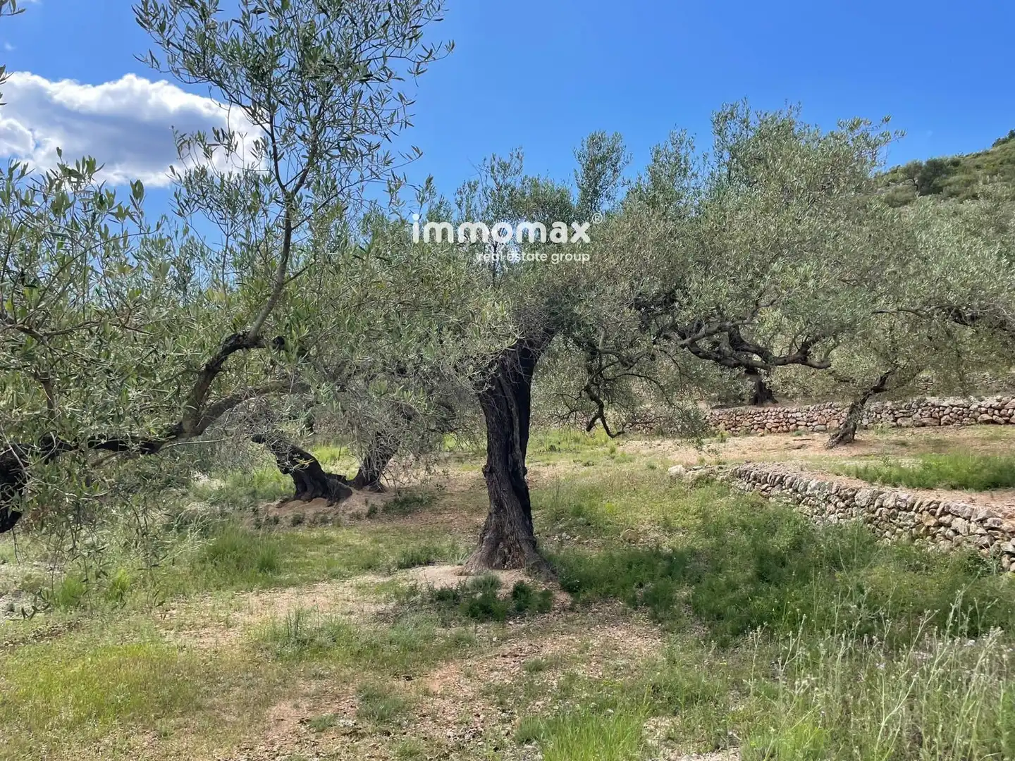 Residential land for sale in 3, imagen 29