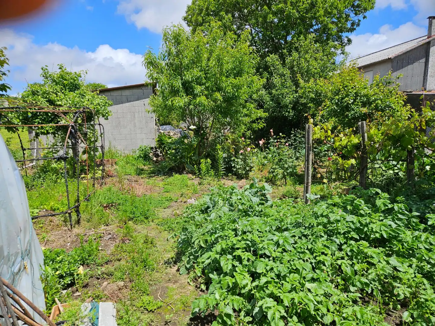 Casa rústica amb jardí en venda a Lugar Xunqueira 3, imagen 42