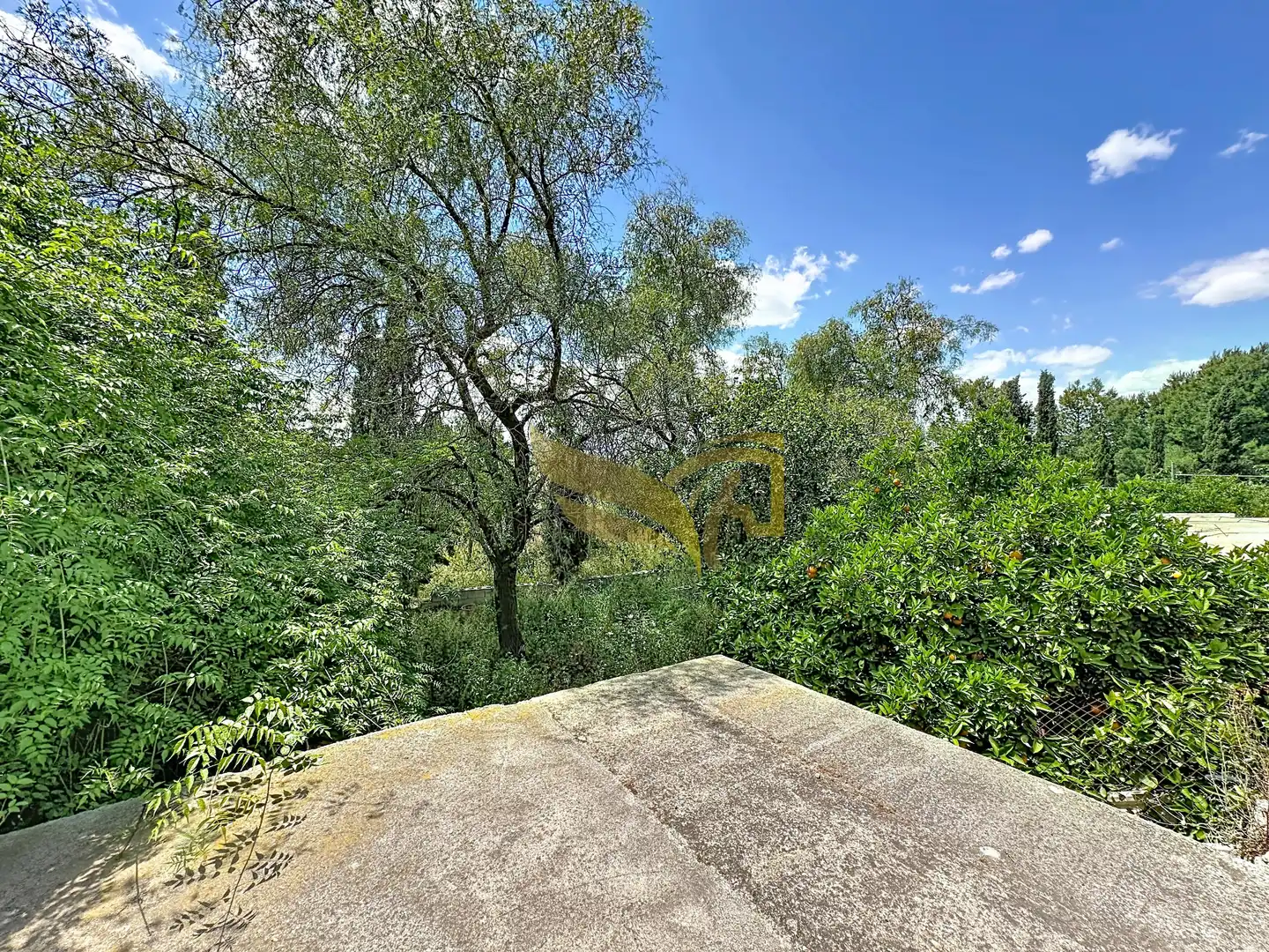 Finca rústica en venta en Las Torres de Cotillas con Aire acondicionado, Jardín privado y Terraza