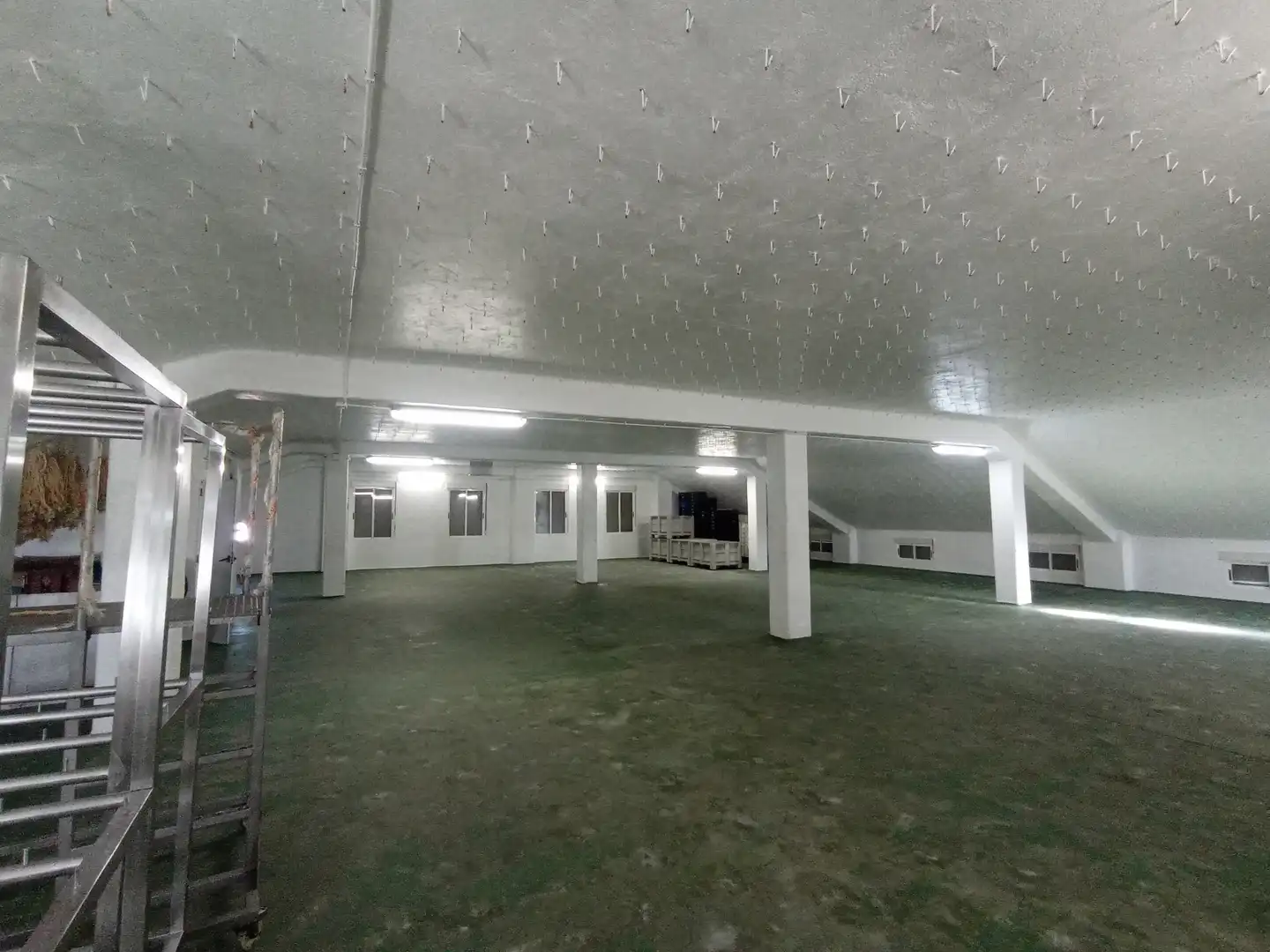Industrial building with lift for transfer in Ciudad Rodrigo, imagen 12