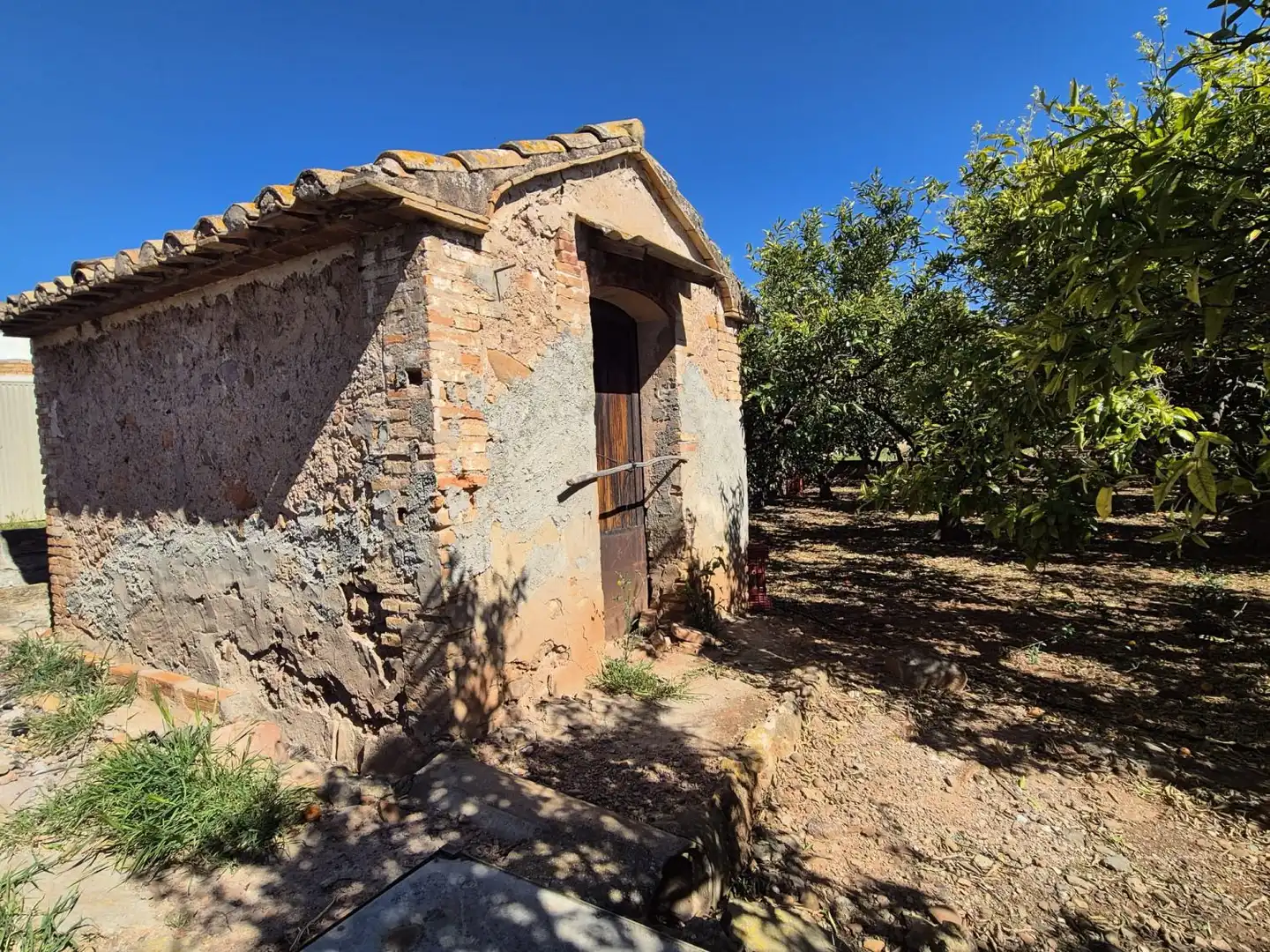 Vista exterior de Finca rústica en venta en Vila-real