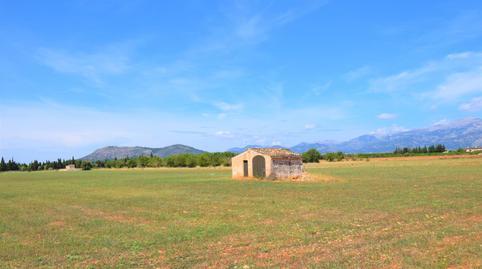 Photo 3 of Country house for sale in Llubí, Illes Balears