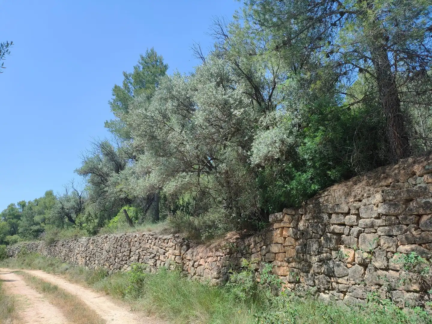 Terreni e lotti in vendita a La Portellada, imagen 7