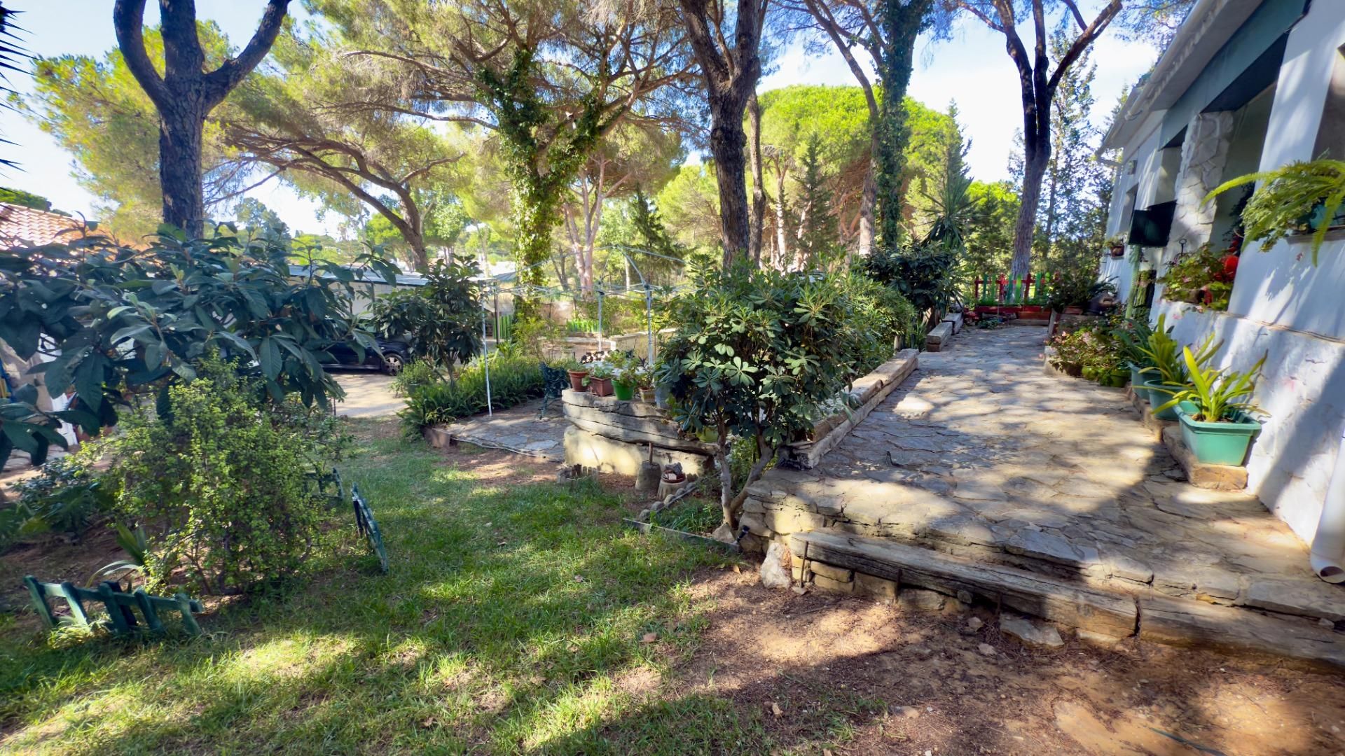 Jardí de Casa o xalet en venda en Chiclana de la Frontera amb Aire condicionat, Jardí privat i Terrassa