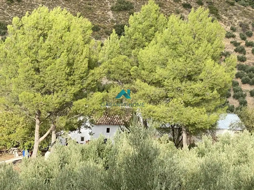 Casa rústica en venda a Fuensanta de Martos, imagen 10