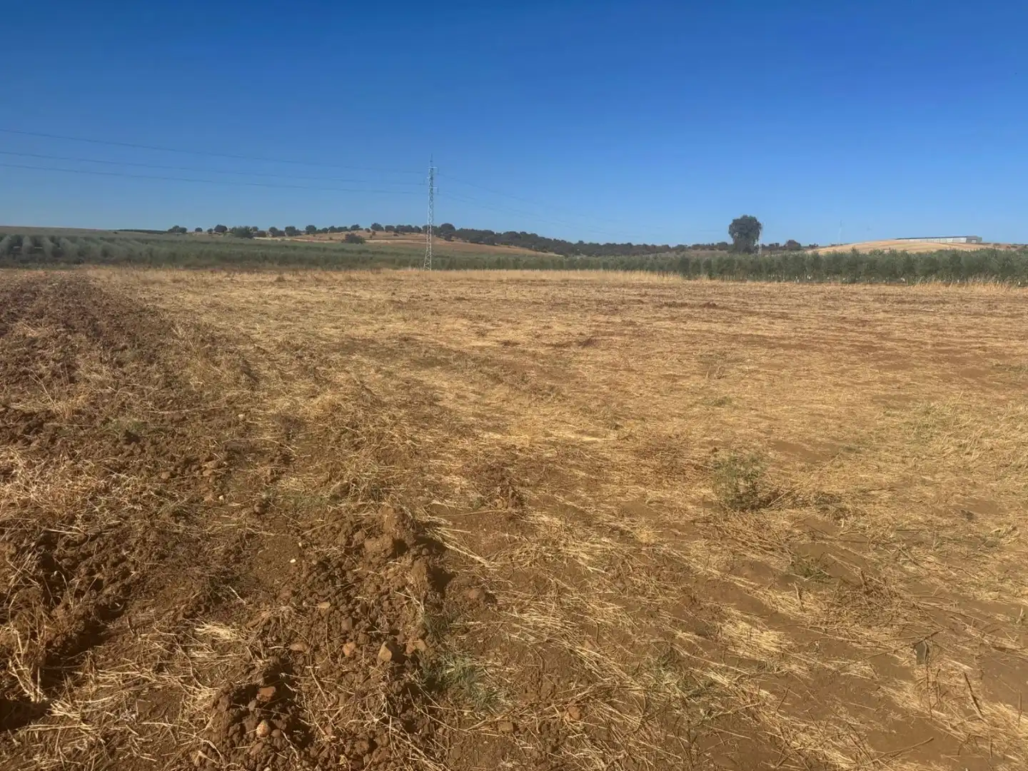 Terreno rústico en venta en Talavera la Real, imagen 4