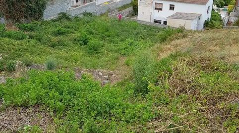 Foto 2 de Finca rústica en venda a Carrer del Puig de Bassegoda, 60, Brises de Calafell, Calafell