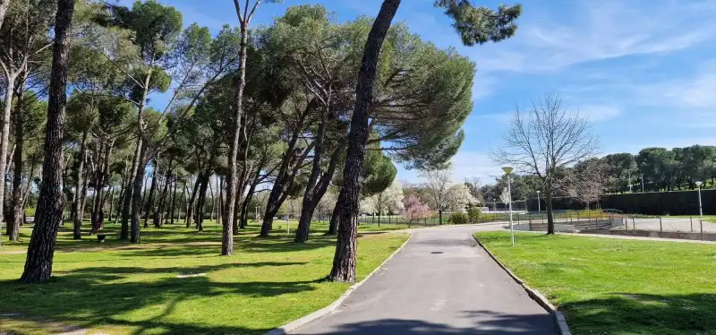 Piso con piscina en venta en Moncloa - Aravaca, imagen 40