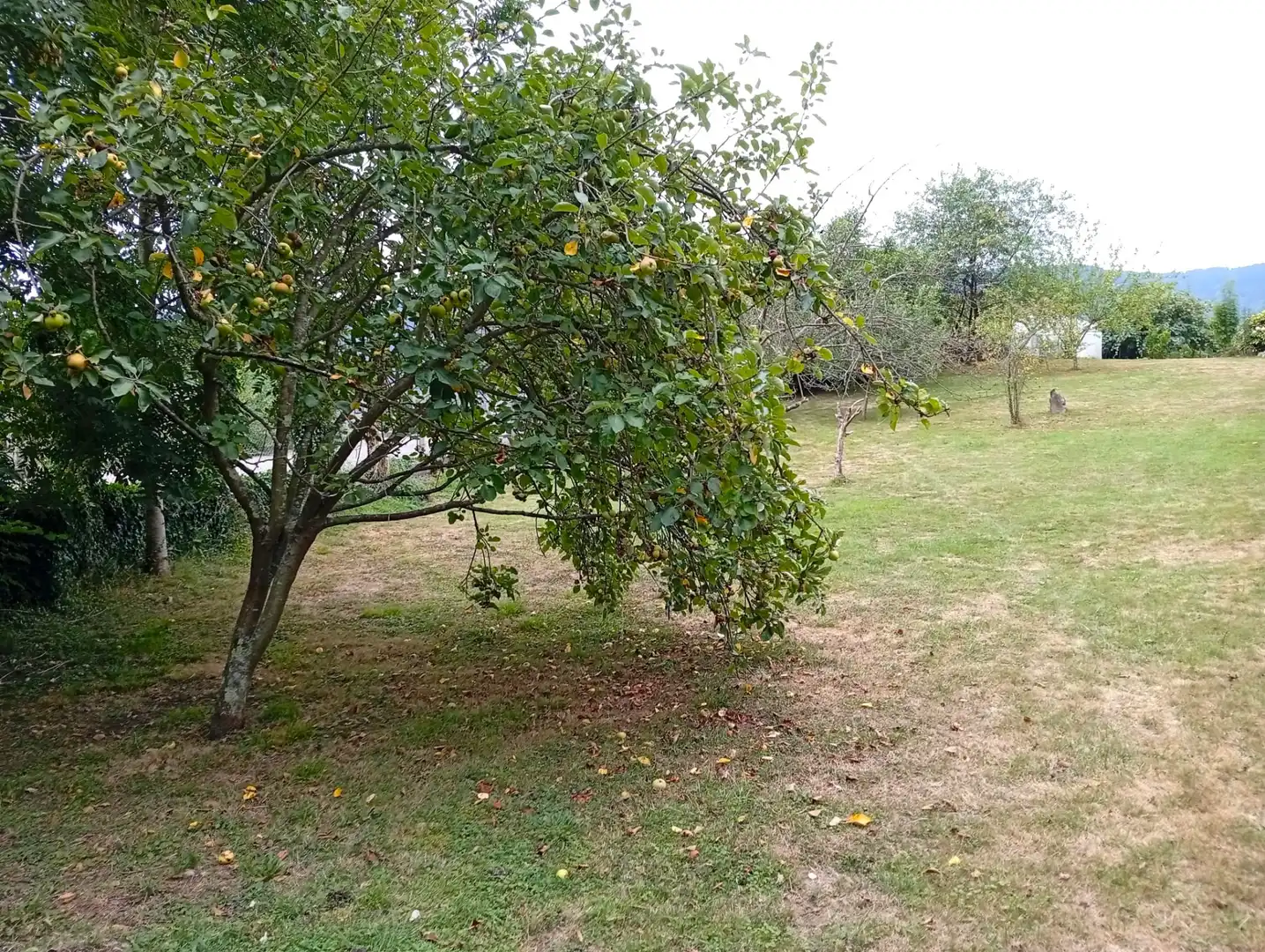 Terreny rústic en venda a Camín de la Xía 686, imagen 16