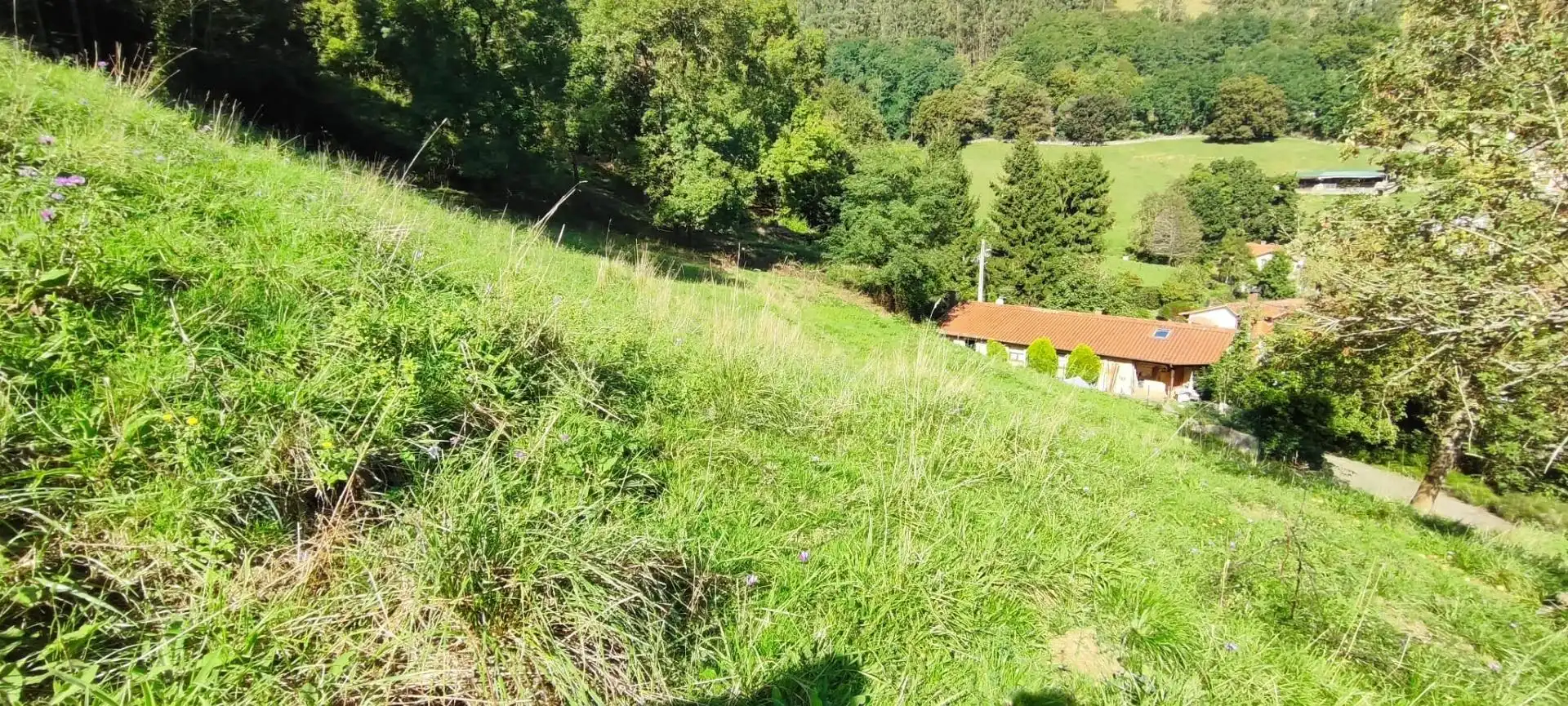 Terreny rústic en venda a Corvera de Toranzo, imagen 4