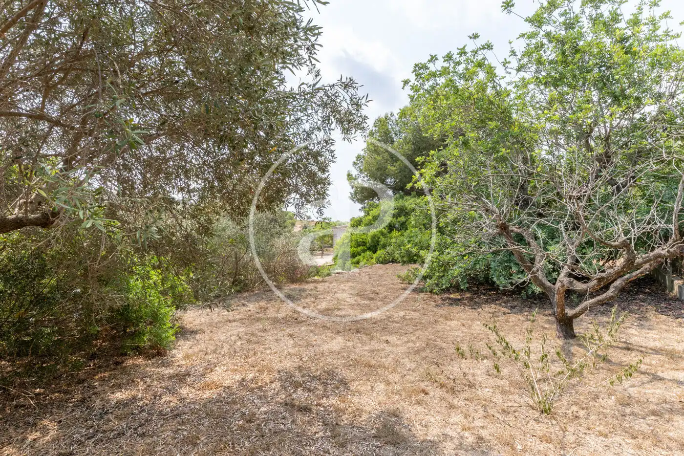 Casa o chalet en venta en Montroi / Montroy con Aire acondicionado, Calefacción y Jardín privado