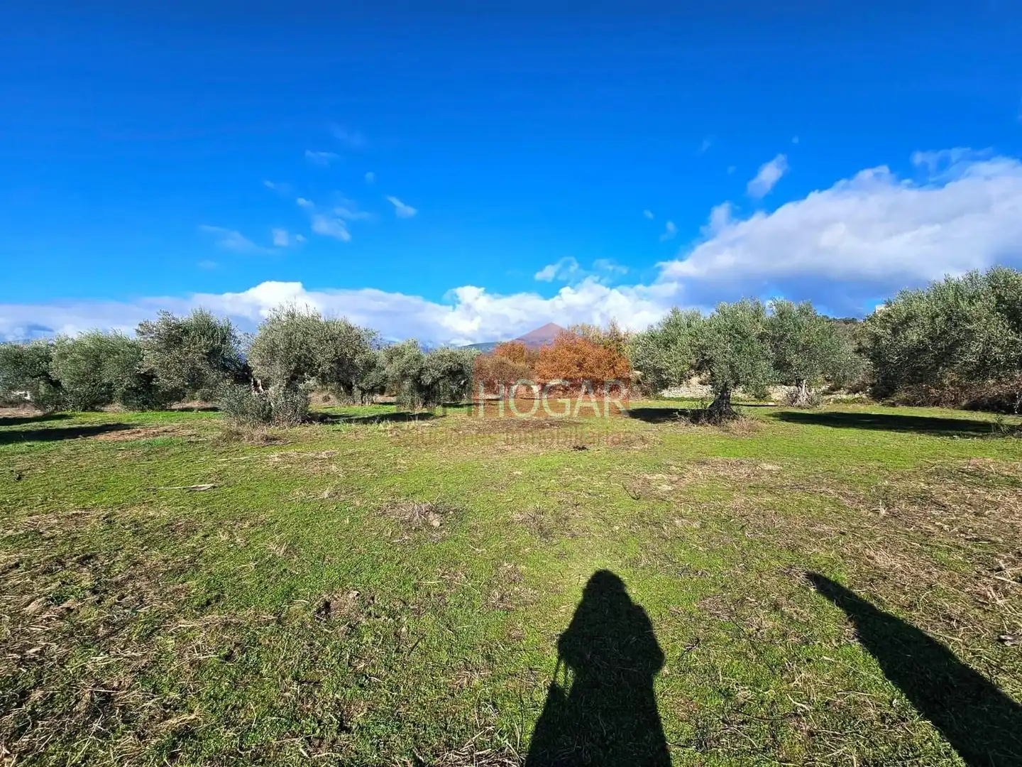 Terreni e lotti in vendita a La Adrada, imagen 27