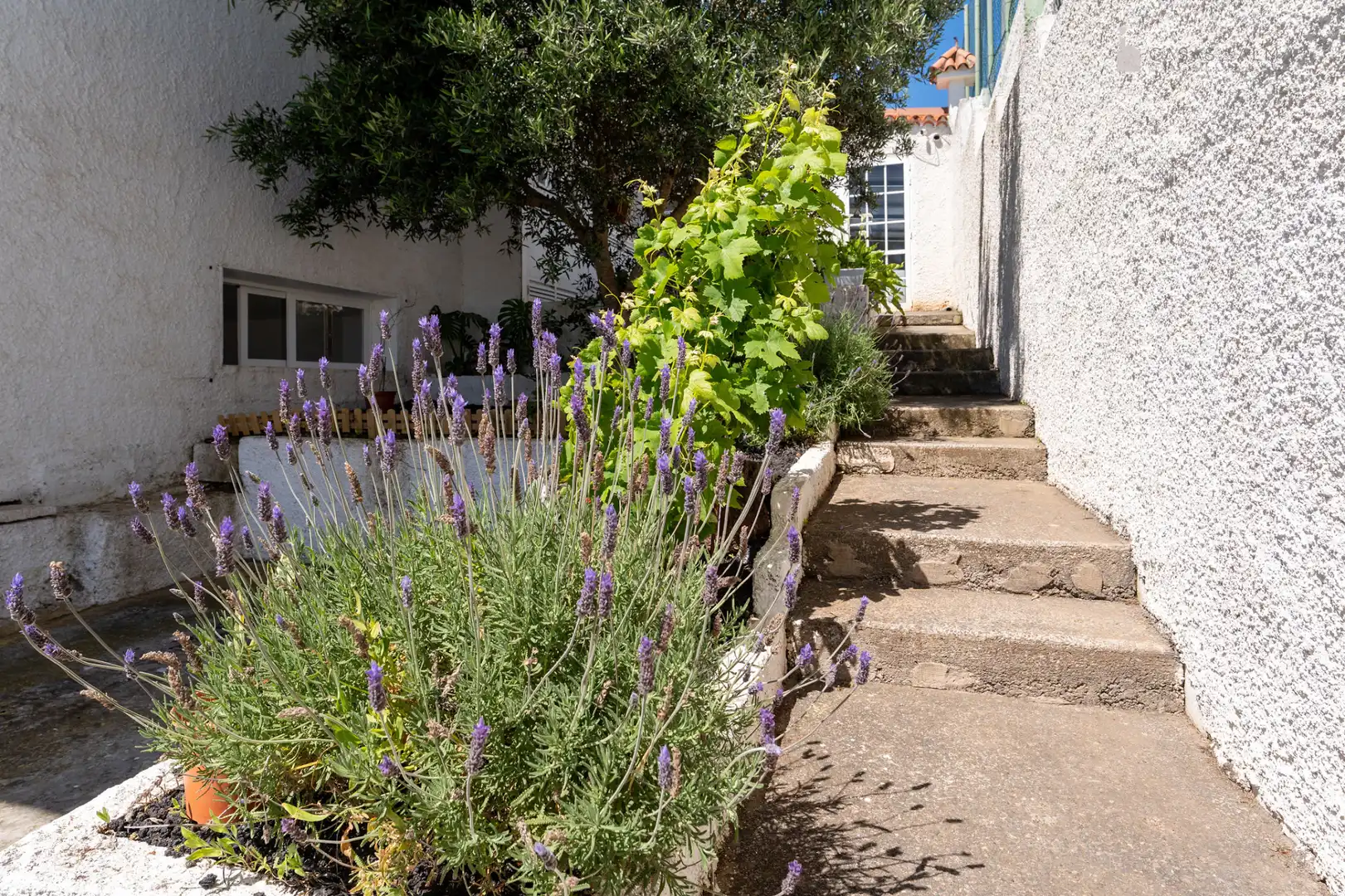 Jardí de Casa adosada en venda en Santa Brígida amb Jardí privat
