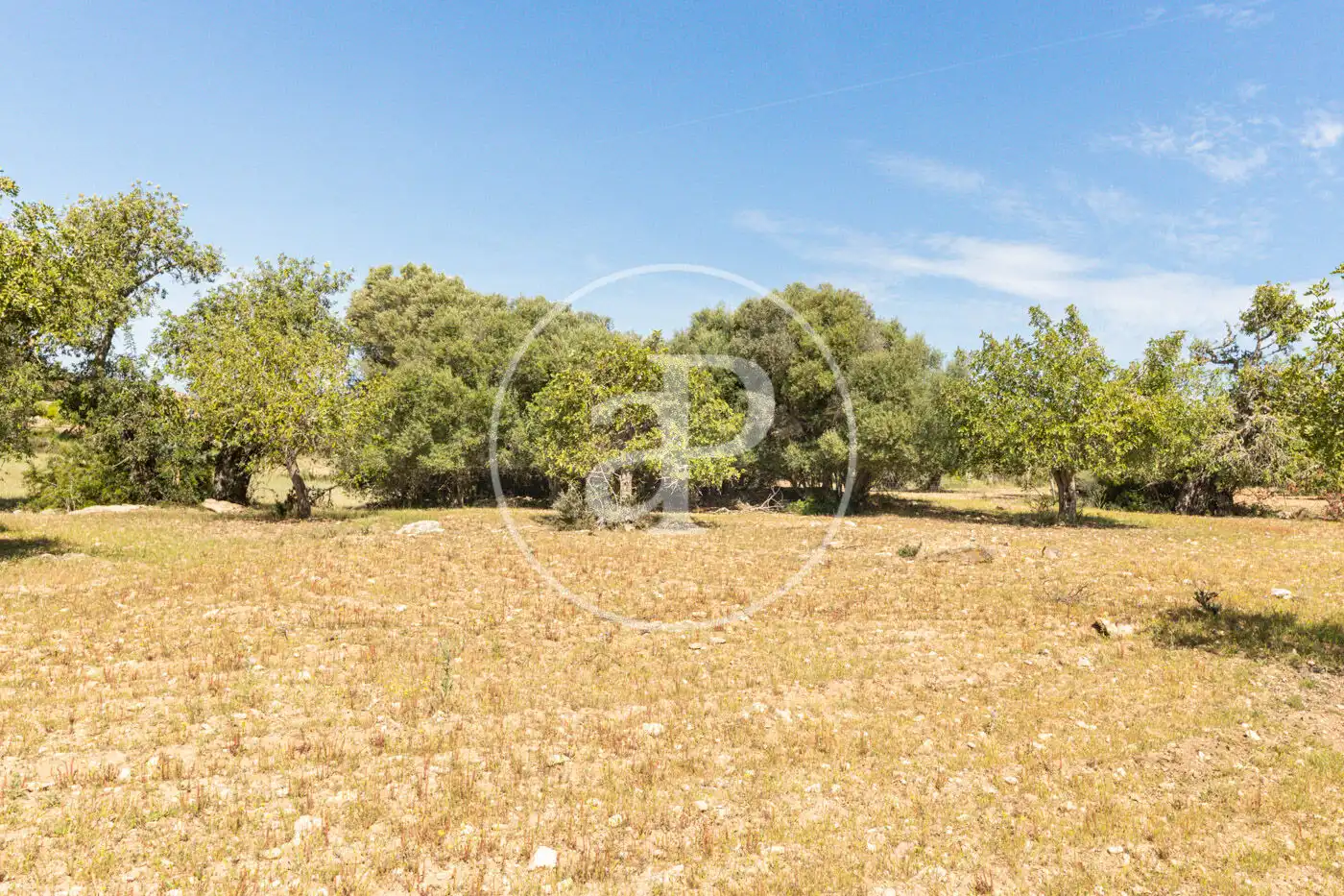 Residencial en venta en Felanitx