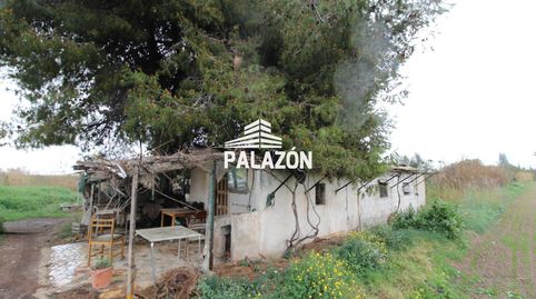 Foto 3 de Finca rústica en venta en Dolores, Alicante