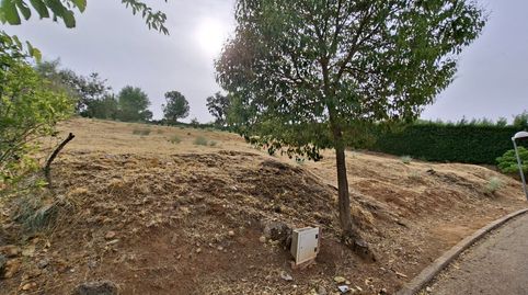PARCELA URBANA DE 1.373 M² EN CARAQUIZ – UCEDA, immagine 2