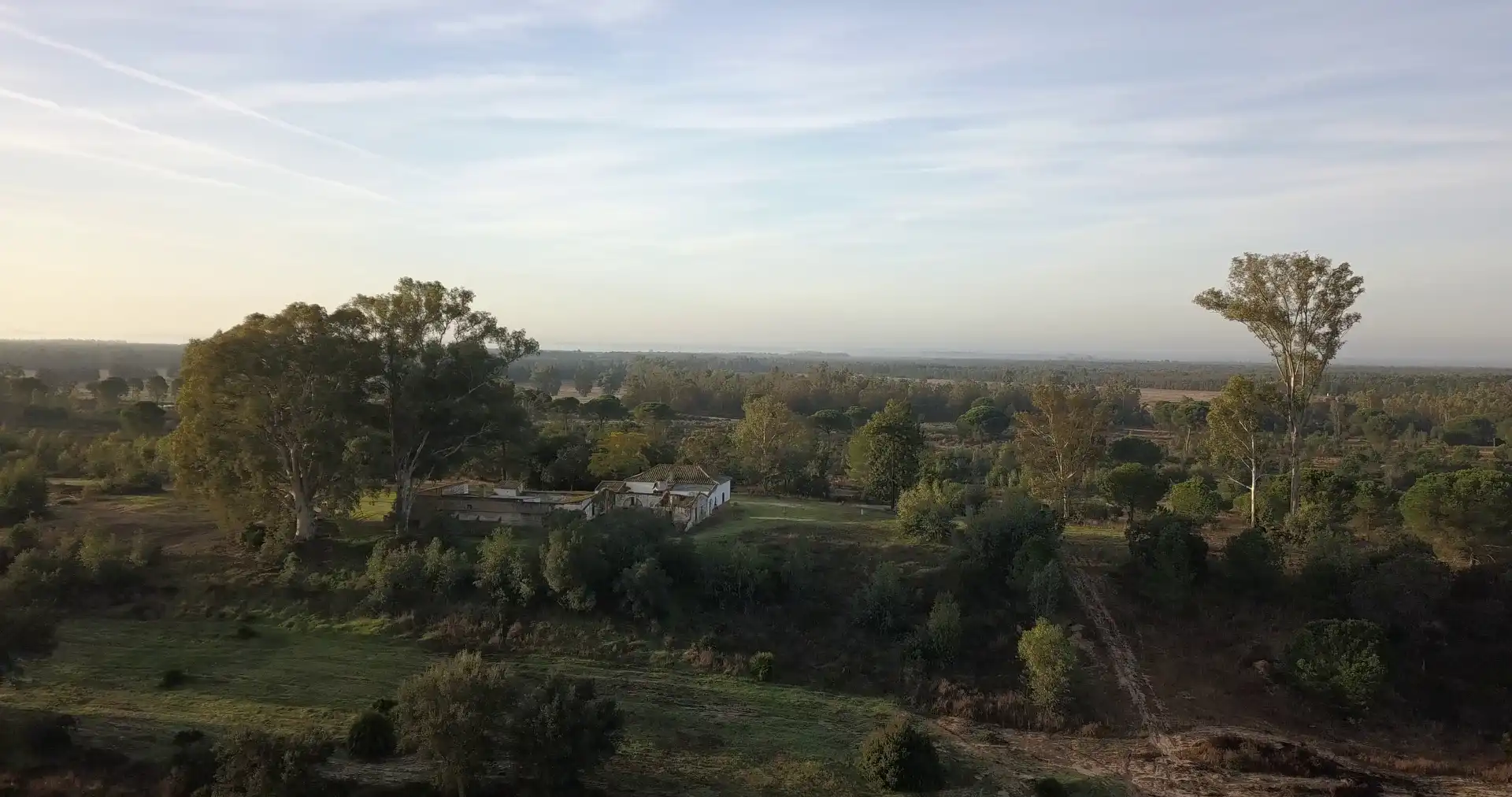 Finca rústica en venda en Almonte