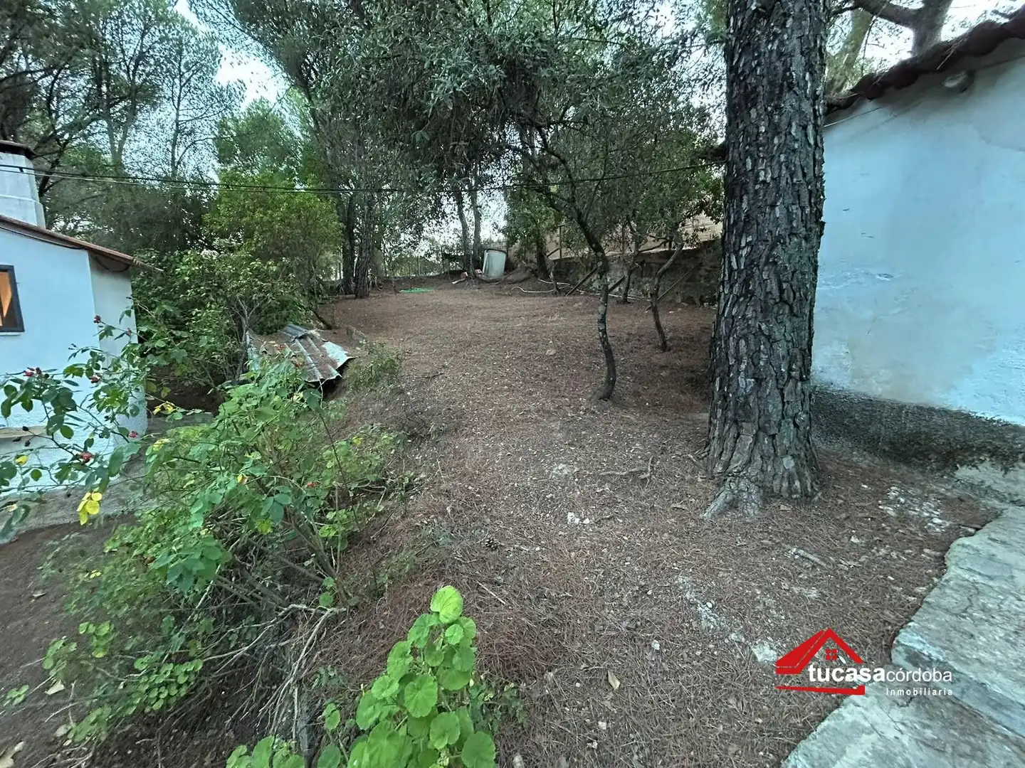 Casa rustica in vendita a Periurbano Oeste - Sierra, imagen 14
