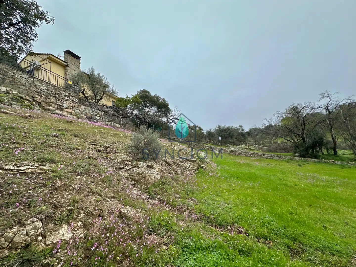 Casa o chalet en venta en Avenida de Peguerinos, Cerro Alarcón