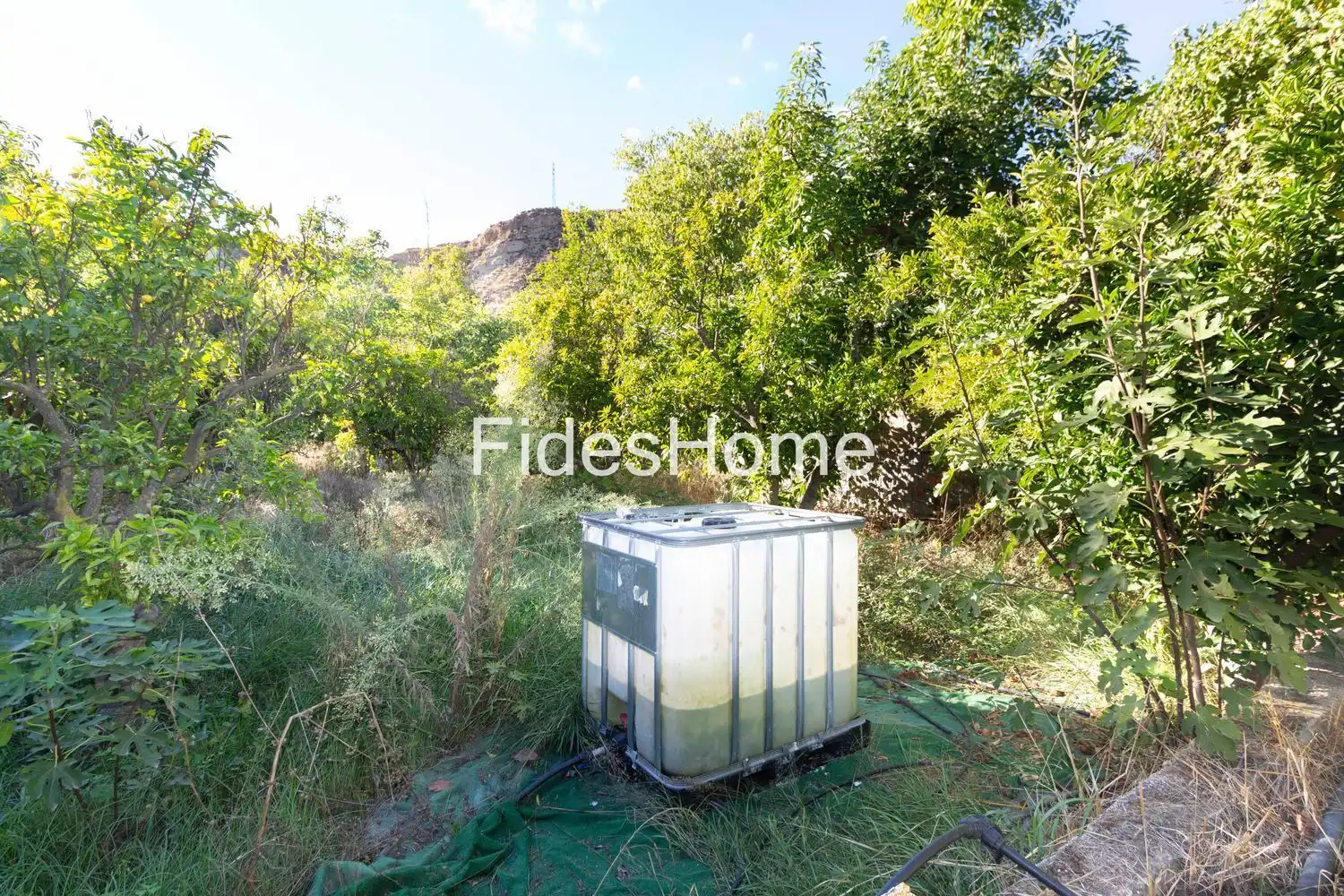 Terreno rustico in vendita a XC2W+49C Talará 0, imagen 14