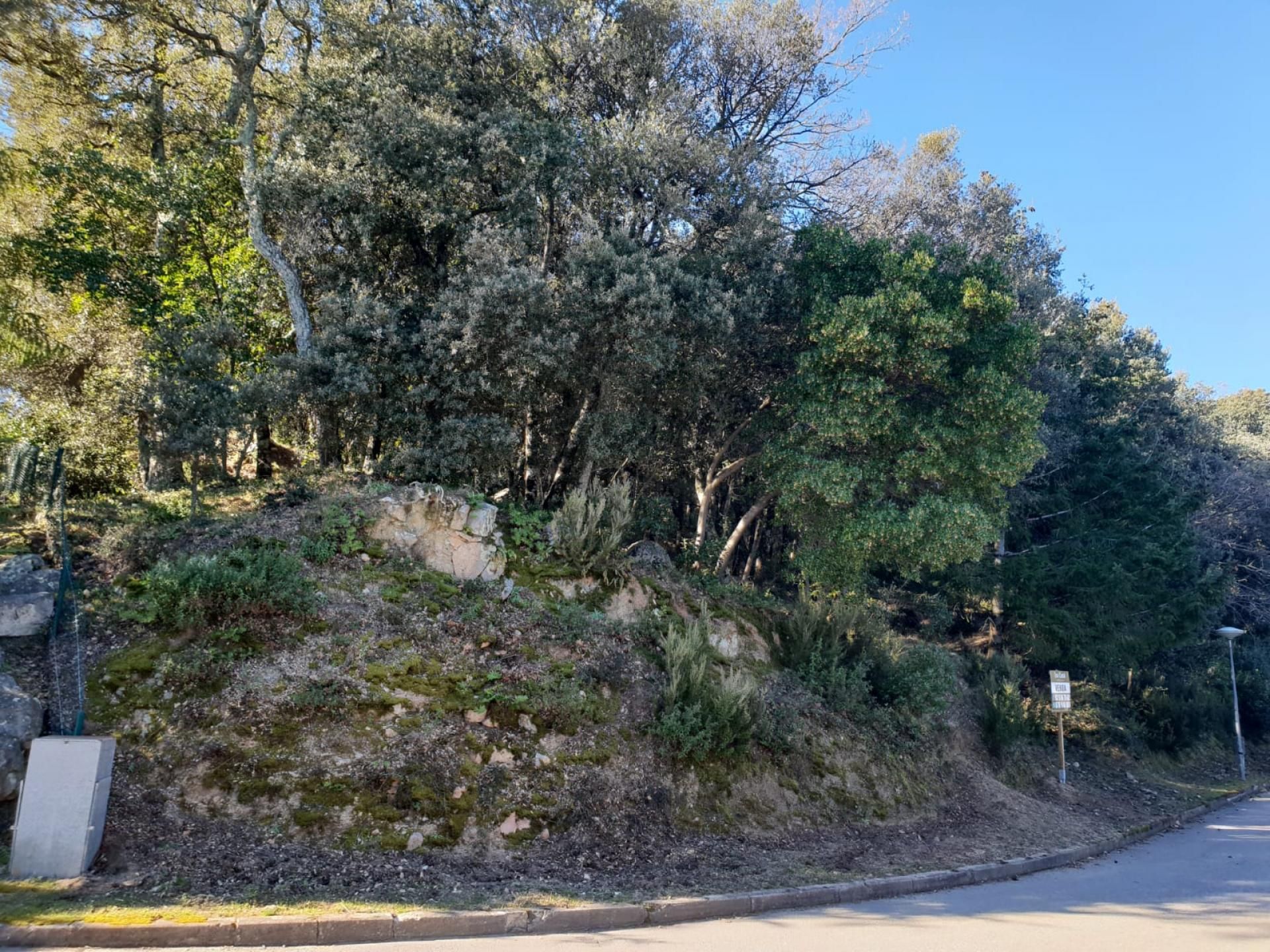 Vista exterior de Residencial en venta en Sant Feliu de Buixalleu