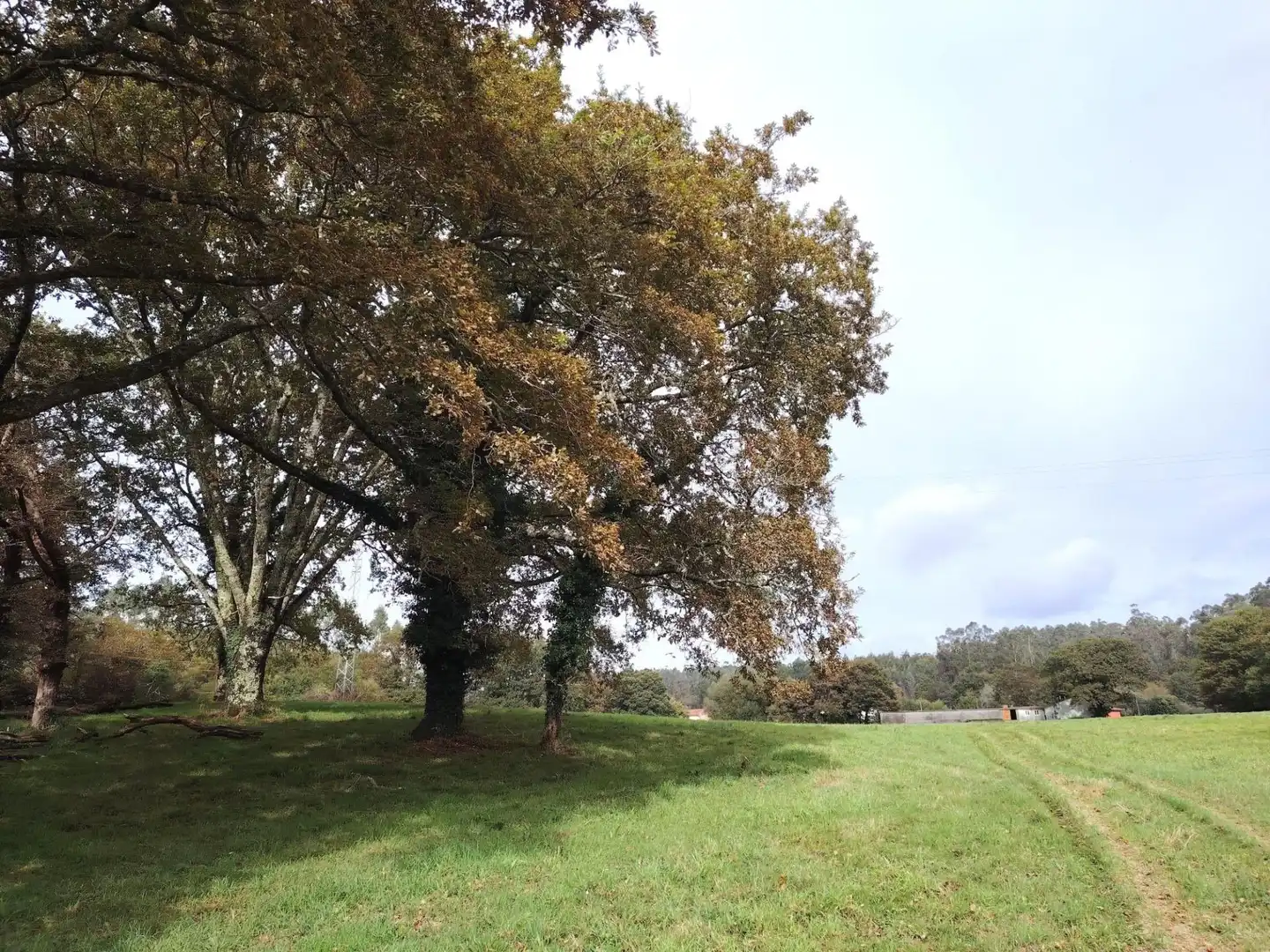 Country homes for sale in Negreira