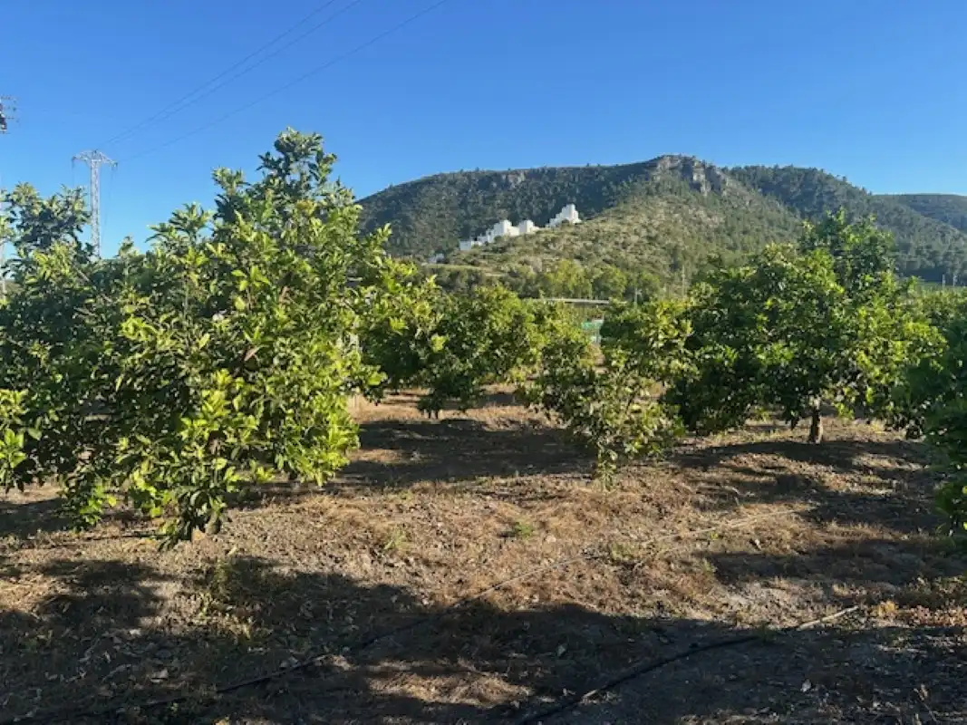 Terreno en venta en Xeresa