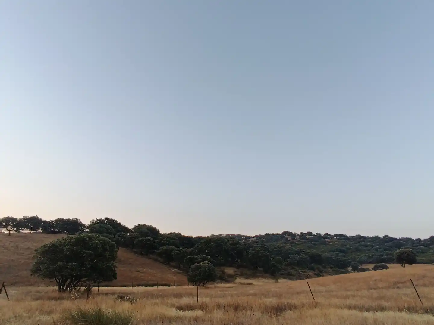Residencial en venda a Alía