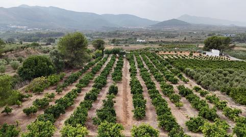 Foto 4 de Casa o xalet en venda a Benicolet, Valencia