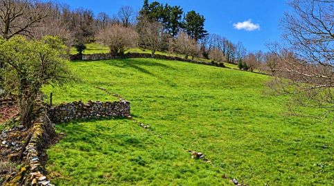 EXCLUSIVA FINCA RÚSTICA DE 3.899 m2 CON PROYECTO DE VIVIENDA Y AUTORIZACIÓN FAVORABLE DE LA CROTU EN SEL DE LA CARRERA ., immagine 5