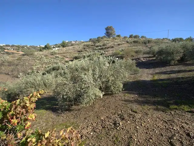 Terreni e lotti in vendita a Torrox Pueblo, imagen 5