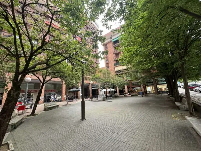 Appartamento con terrazza in vendita a Bergara, imagen 32