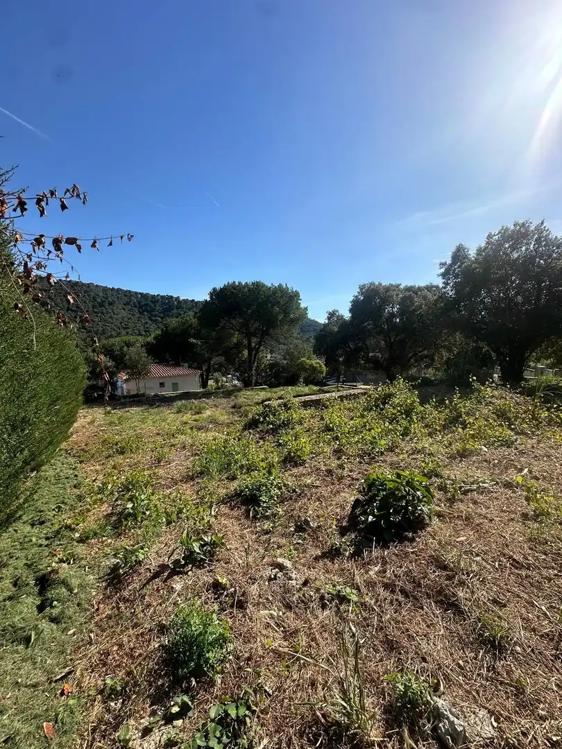 Terrains et parcelles à vendre à DE LA GRALLA, imagen 2