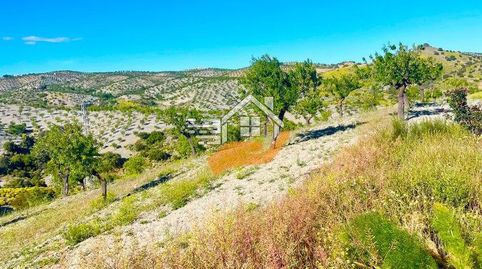 Finca Rúst. en venta en VélezRubio., immagine 5