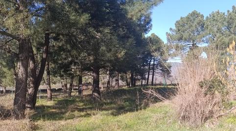 Foto 3 de Casa o chalet de alquiler en Gargantilla del Lozoya, Madrid