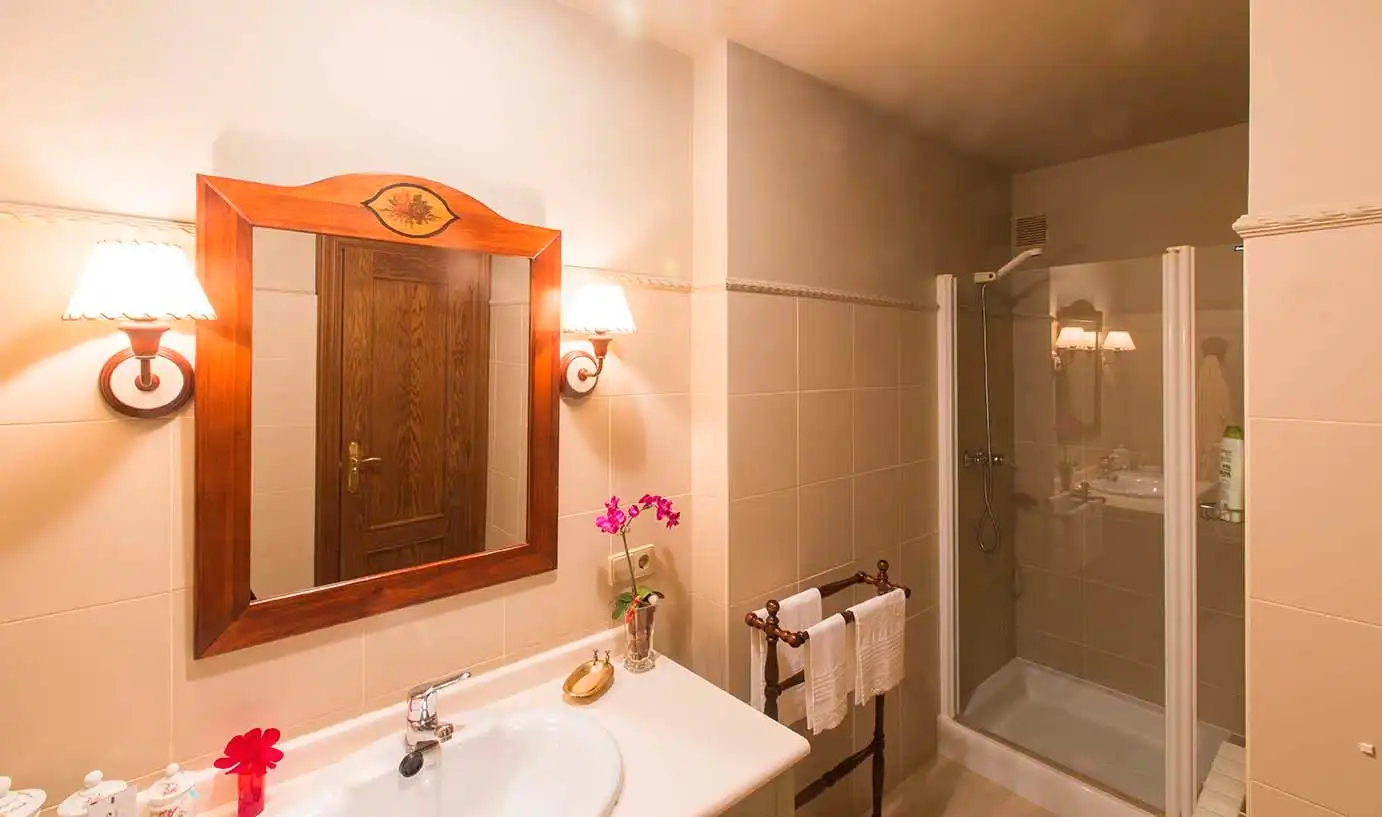 Baño de Casa o chalet en venta en Valle de Egüés / Eguesibar