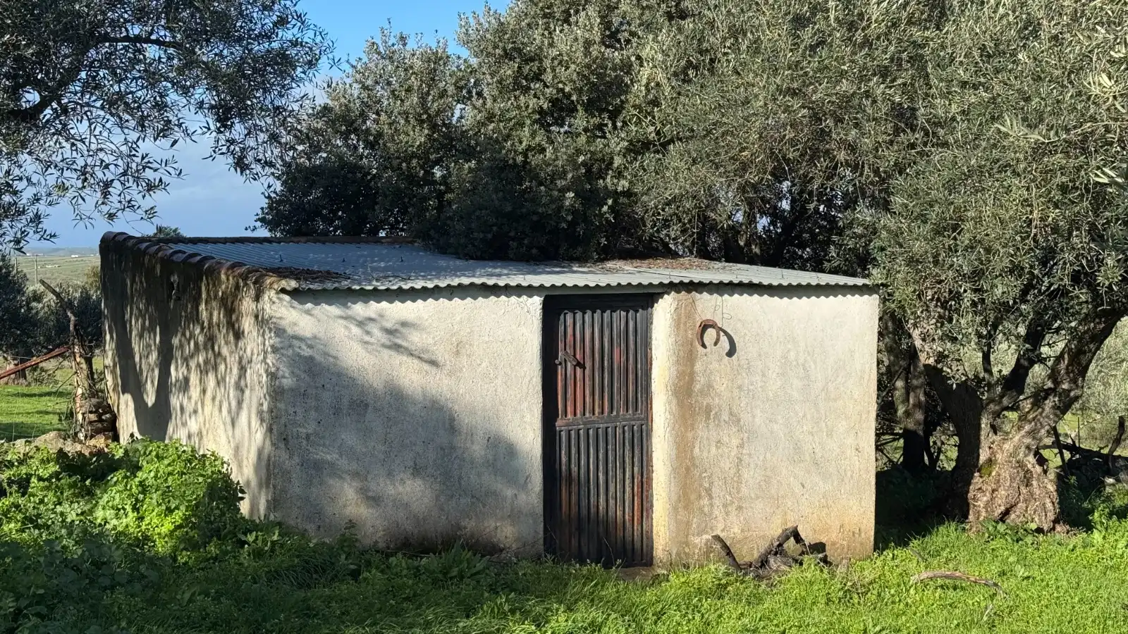 Terreni e lotti in vendita a Valencia de Alcántara, imagen 7